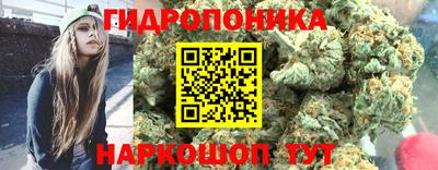 тгк Будённовск
